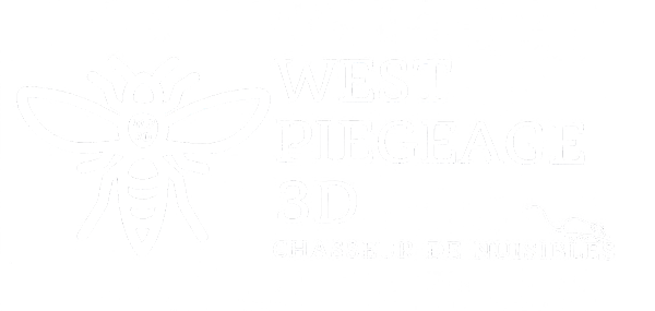 WEST PIEGEAGE 3D